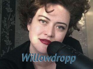 Willowdropp