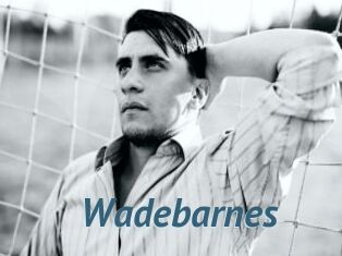 Wadebarnes