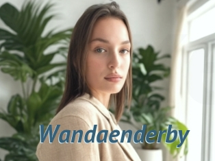 Wandaenderby