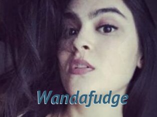 Wandafudge