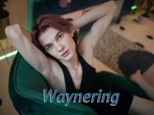 Waynering