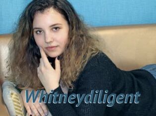 Whitneydiligent