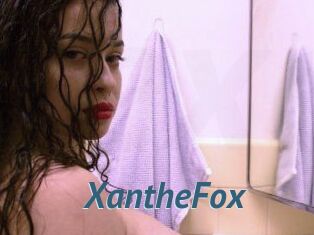Xanthe_Fox