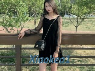 Xiaokea1