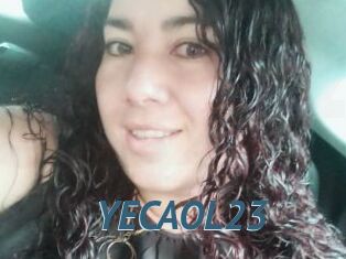 YECAOL23