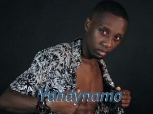 Yandynamo
