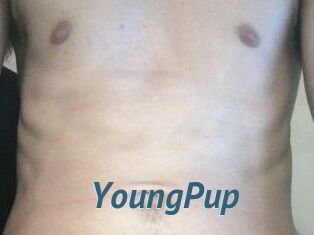 YoungPup