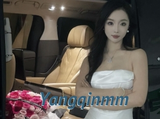 Yangqinmm