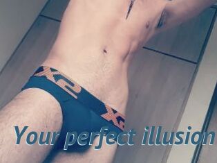 Your_perfect_illusion