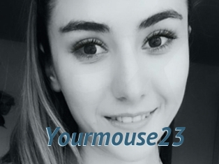 Yourmouse23