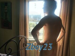 Zboy23