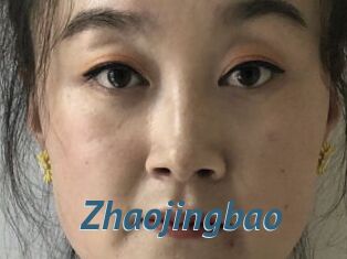 Zhaojingbao
