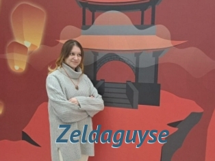 Zeldaguyse